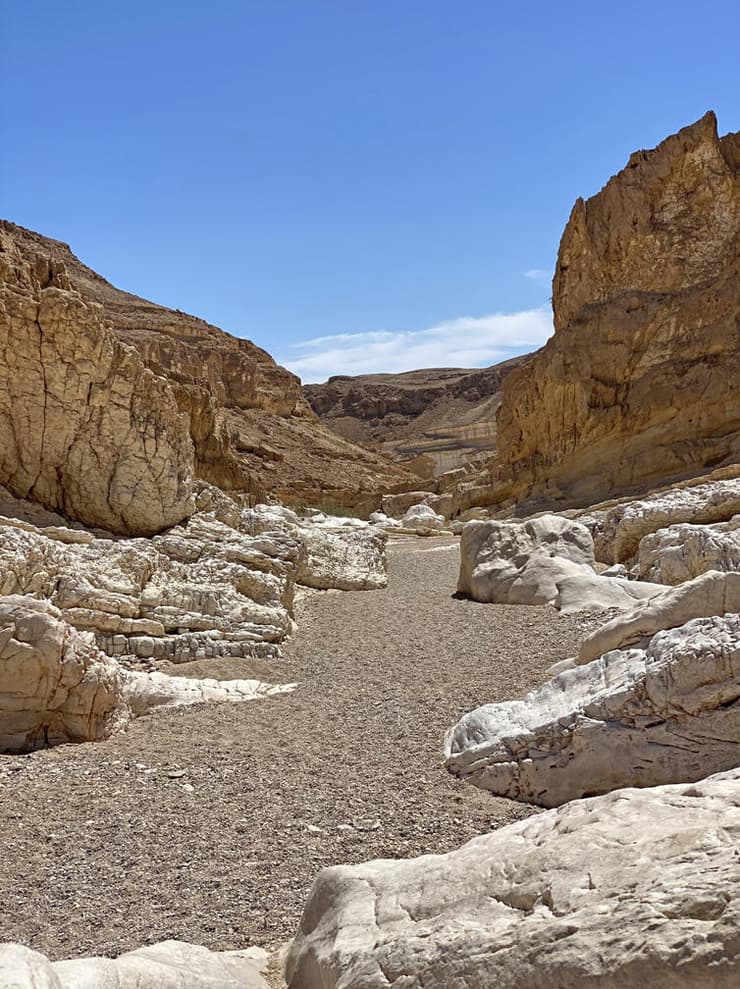 מפגש נחל רמון ונחל נקרות