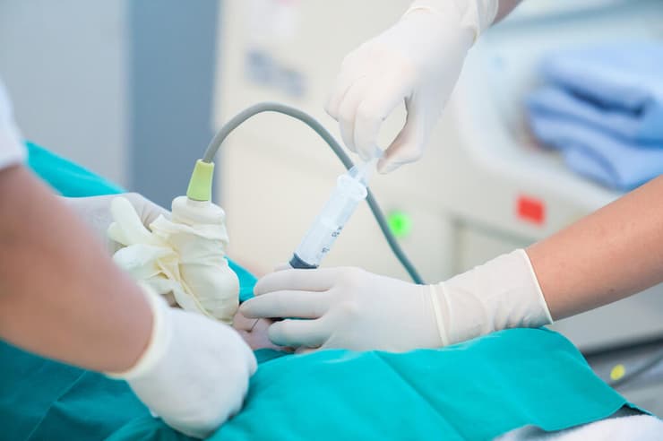 האם מודל מבוסס בינה מלאכותית יחליף בדיקות פולשניות כמו בדיקת מי שפיר? (צילום: Shutterstock) בדיקת מי שפיר