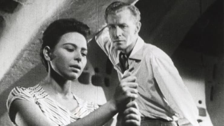 מתוך "גבעה 24"