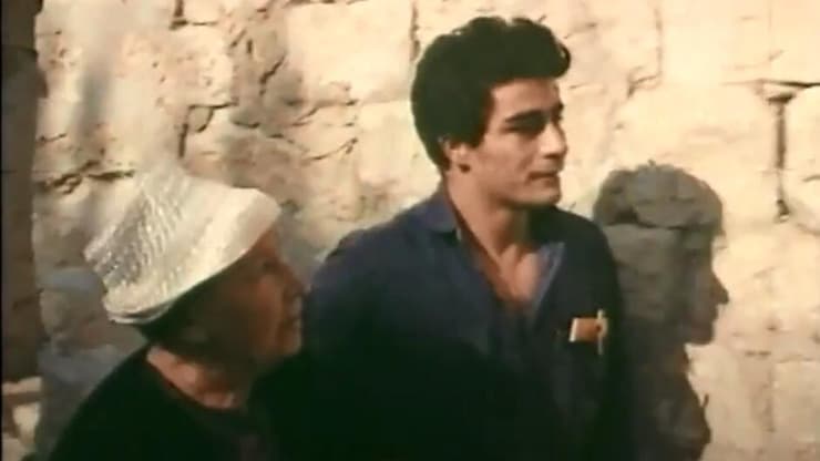 מתוך "התמהוני"