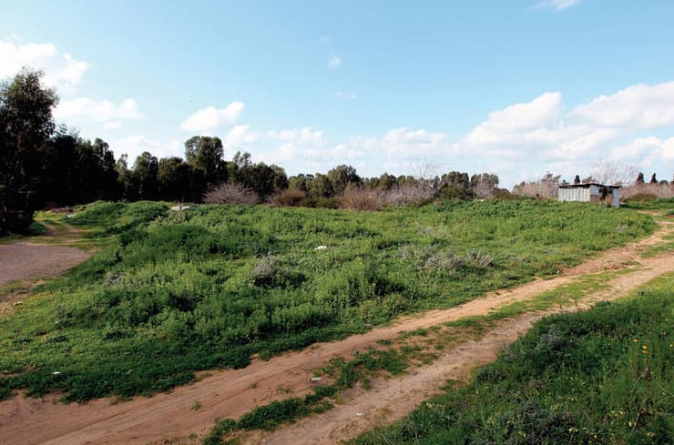 קרקע להשקעה למזל תפקיד חשוב ביותר 