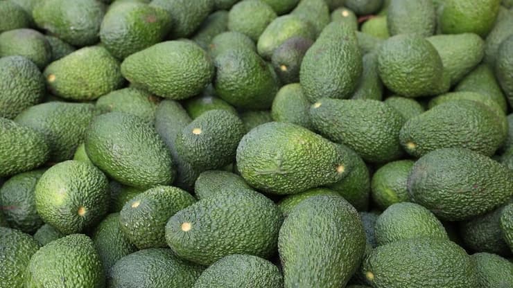 הכי טוב - לקנות באמצע העונה (צילום: אלעד גרשגורן) הכי טוב - לקנות באמצע העונה