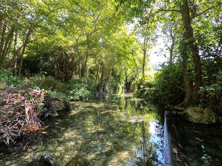 עין חרדלית בנחל כזיב