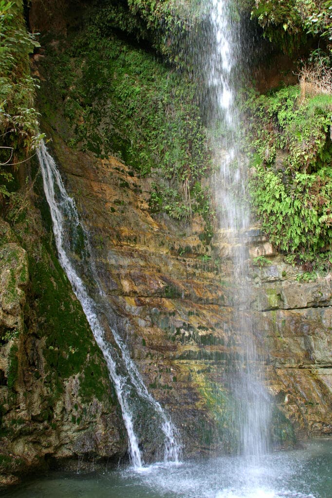 נחל דוד בשמורת עין גדי