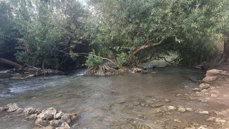 בית לאה, נחל הירקון