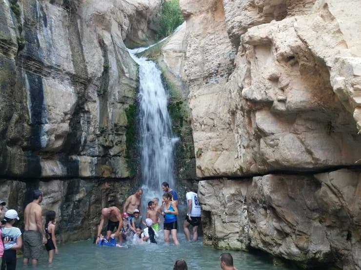 מתרחצים בנחל ערוגות