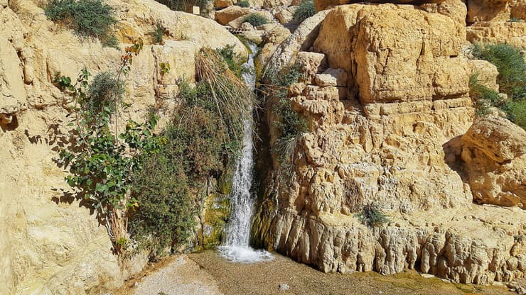 אחד המפלים בנחל דוד