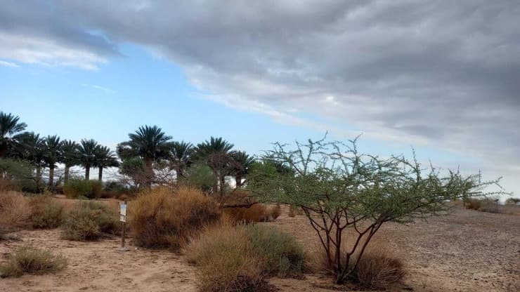 אזור מושב חצבה (צילום: הילה אלבז, הערבה התיכונה) גשם ראשון בחצבה