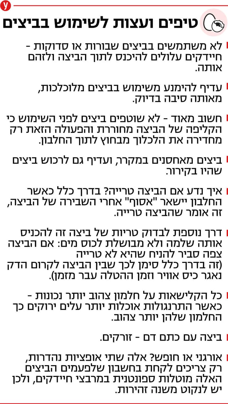 אינפו 