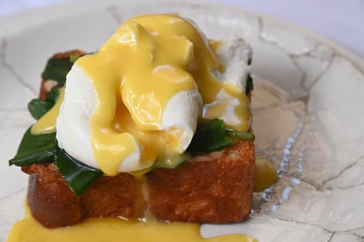 ביצים, תומר טל