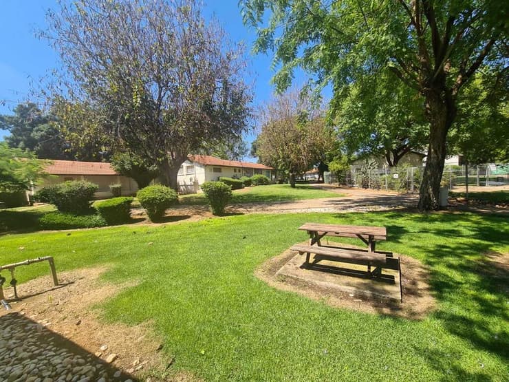 מראה מבחוץ - מרכז שיר"ה מיזם של סתיו שפיר לאוטיסטים בוגרים