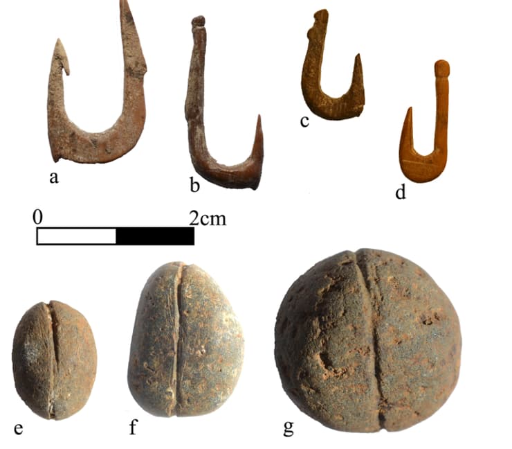 קרסים ומשקולות שהתגלו בחפירות (תמונה באדיבות פרופ' גונן שרון) קרסים ומשקולות שהתגלו בחפירות