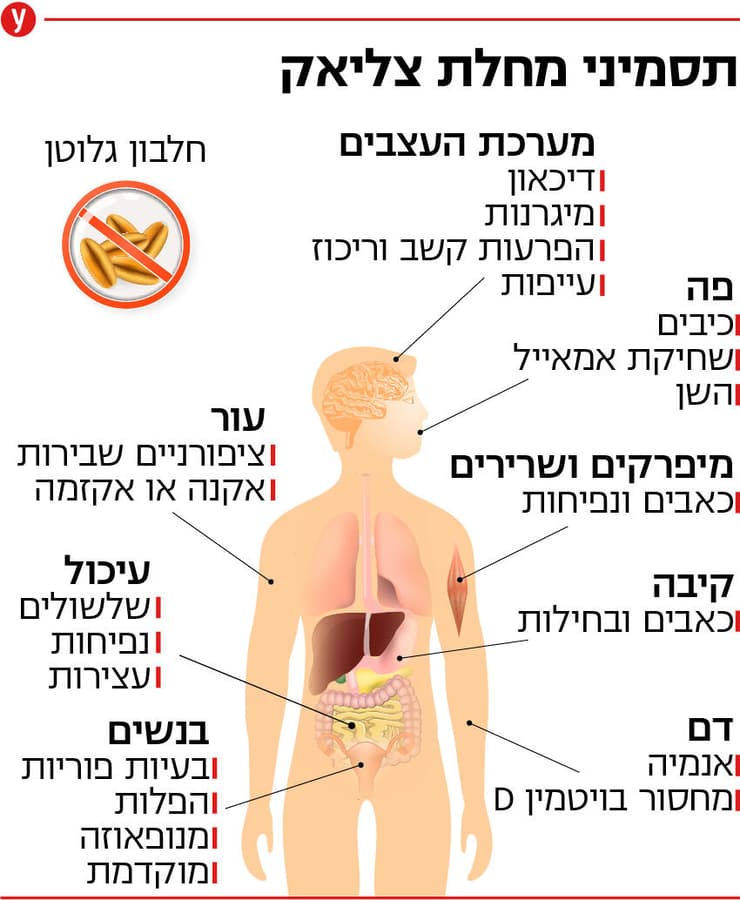 צליאק תסמינים צליאק תסמינים