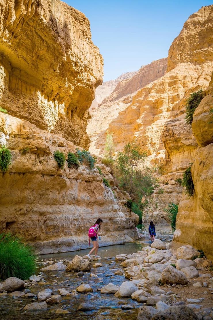 מסלול רטוב בנחל ערוגות