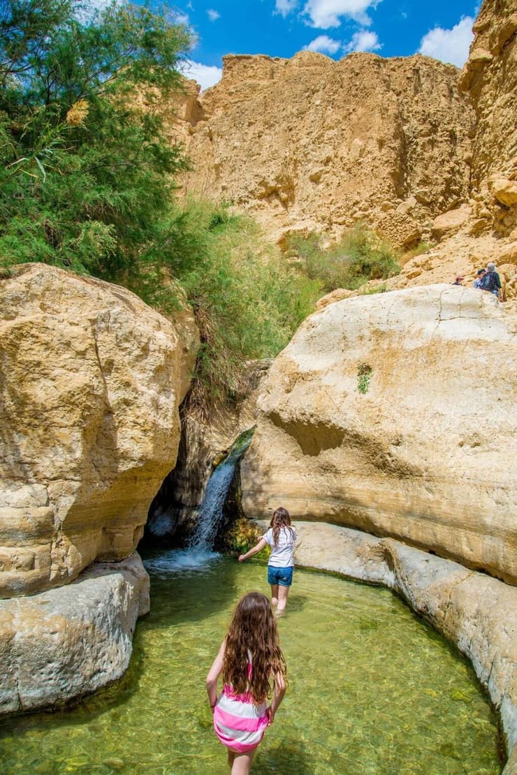 הגליצ'ה - הבריכות התחתונות בנחל ערוגות