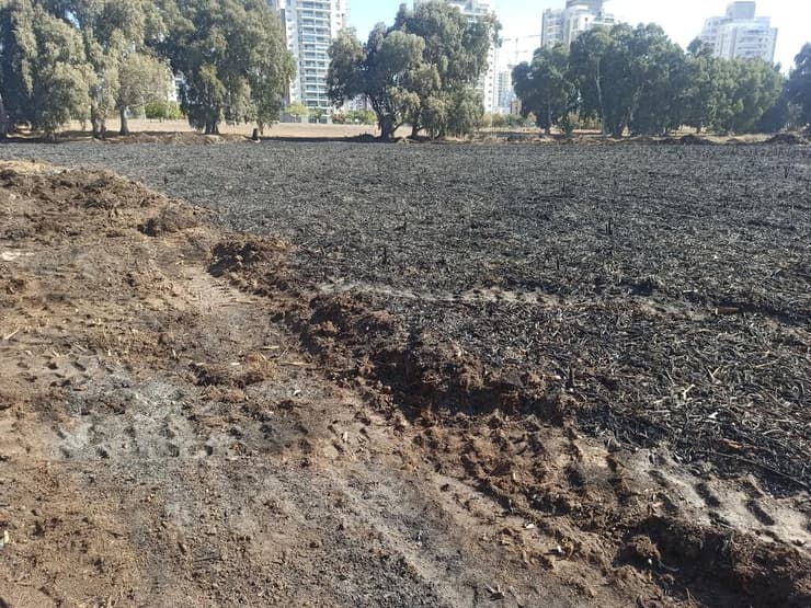 נזקי השריפה בבריכת החורף הגדולה של נתניה (צילום: אביב אבישר) השריפה בבריכת החורף הגדולה של נתניה