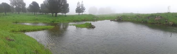 בריכת נפח (צילום: אלדד אלרון) בריכת נפח