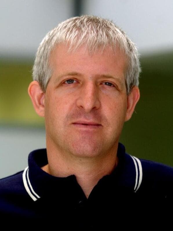 עדי וולפסון