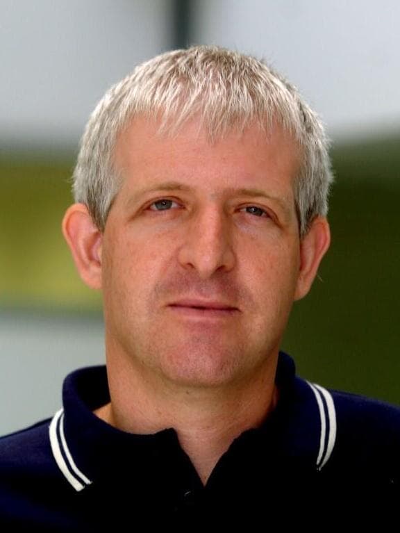 עדי וולפסון