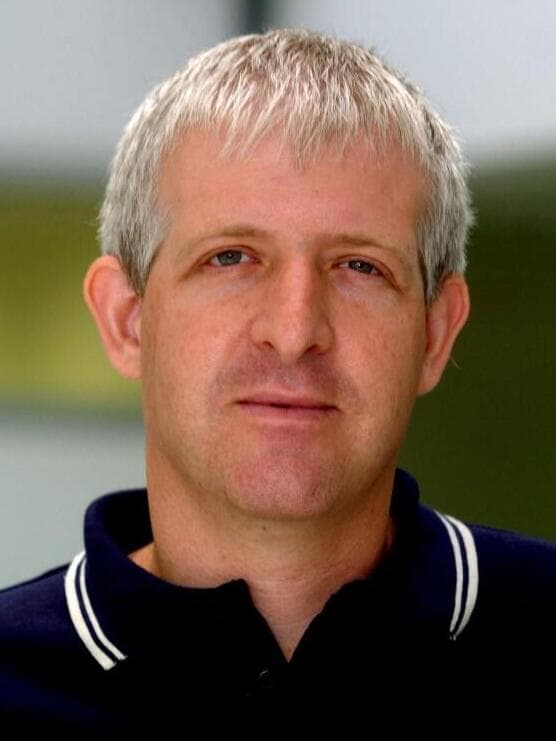 עדי וולפסון