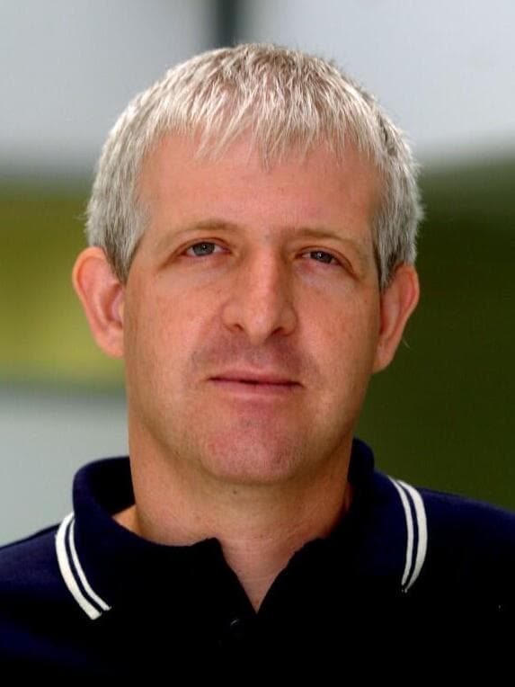 עדי וולפסון