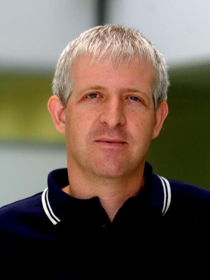 עדי וולפסון