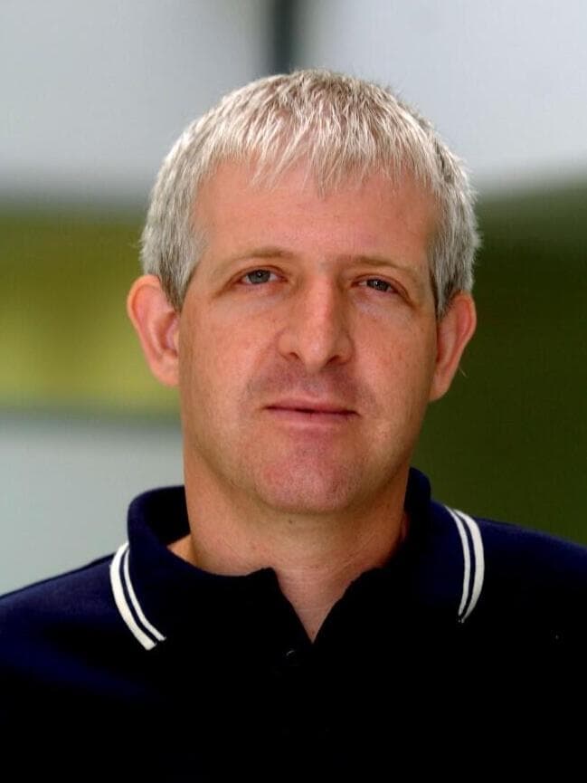 עדי וולפסון