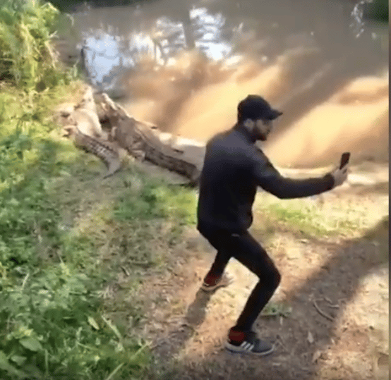 אתם מתגרה בתנינים בספארי (רשתות חברתיות) אתם מתגרה בתנינים בספארי