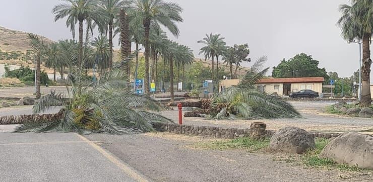 ענפים שקרסו באותה סופה (צילום: איגוד ערים כינרת) כביש כישה לחוף בסופה מלא ענפים ואבנים