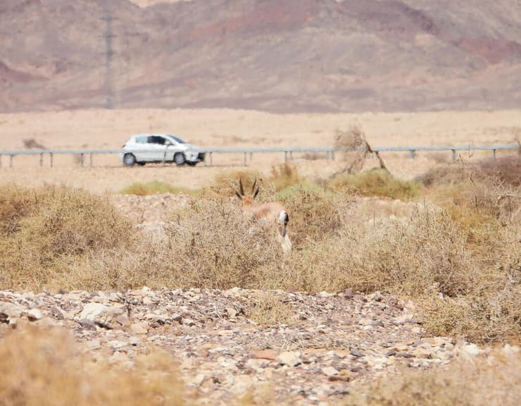 אחד האזורים שבו אמור לעבור קו הרכבת
