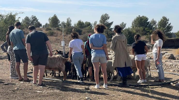 עמותת "זה בנפשי"