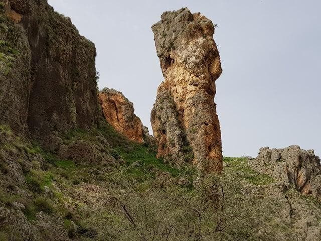 זירת האירוע בנחל עמוד