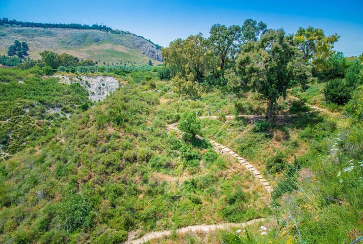 השביל בשמורת נחל עיון