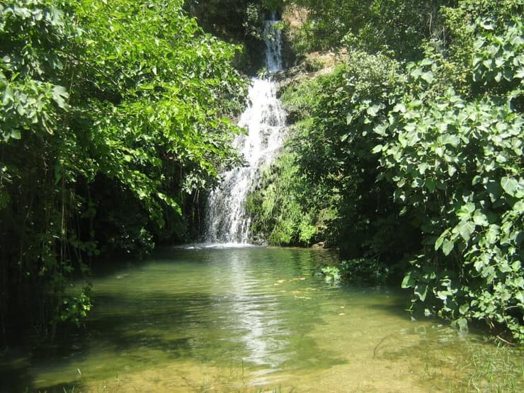 שמורת נחל עיון