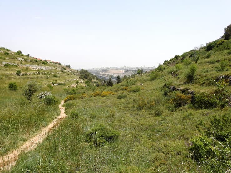 מסלול נחל חלילים