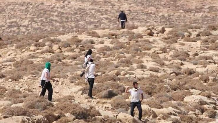 ארכיון (צילום: מאבק על כל דונם) עימותים אלימים בין מתנחלים לפלסטינים ביהודה ושומרון
