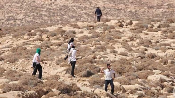 ארכיון (צילום: מאבק על כל דונם) עימותים אלימים בין מתנחלים לפלסטינים ביהודה ושומרון