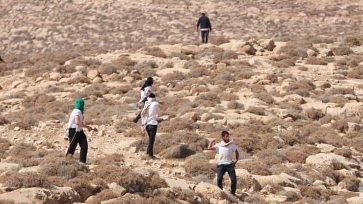 ארכיון (צילום: מאבק על כל דונם) עימותים אלימים בין מתנחלים לפלסטינים ביהודה ושומרון