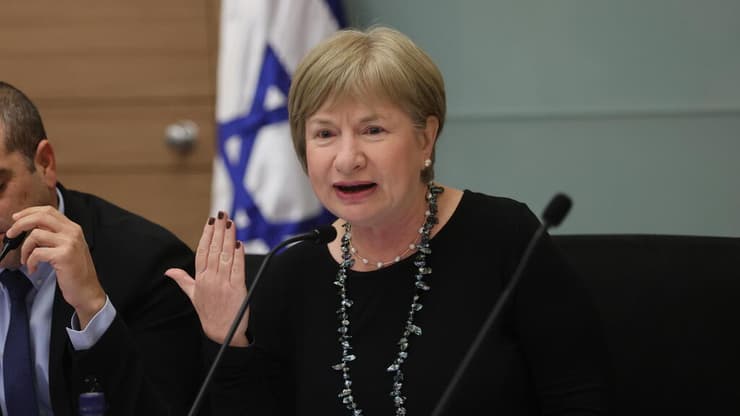 הועדה המיוחדת לדיון בהצעת חוק יסוד הממשלה