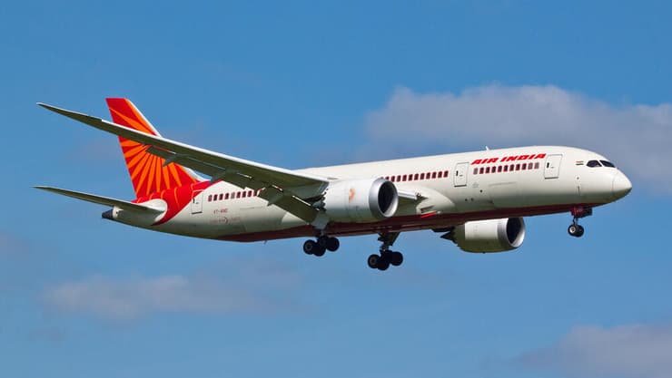 מטוס של חברת אייר אינדיה (צילום: shutterstock) מטוס של חברת אייר אינדיה
