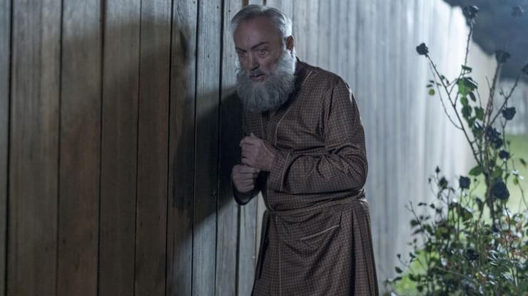 מתוך "השכן שלי אדולף"