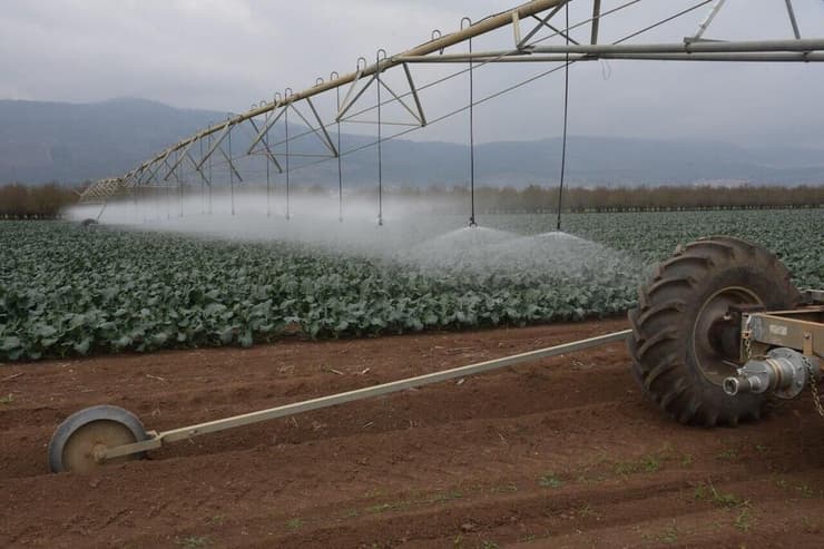השקיית שדה ברוקלי בגליל. ארכיון (צילום אביהו שפירא) קונוע בשדה ברוקולי בגליל