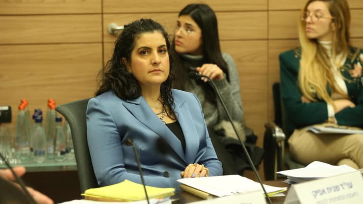 יועמ"שית הכנסת עו״ד שגית אפיק (צילום: עמית שאבי) ועדת חוקה, חוק ומשפט