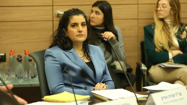 ועדת חוקה, חוק ומשפט