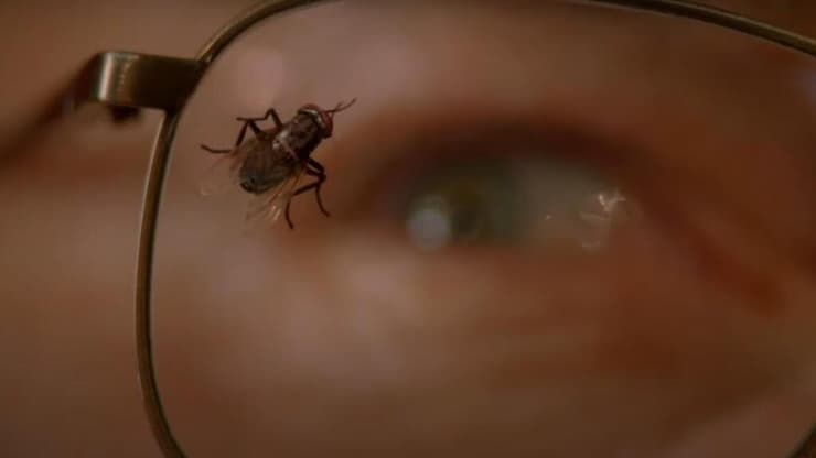 מתוך "שובר שורות"