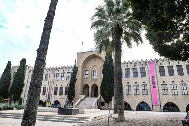 העץ שנטע איינשטיין על רקע הבניין ההיסטורי של הטכניון בשכונת הדר