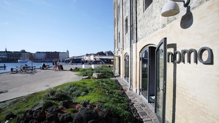 נומה רנה רזדפי