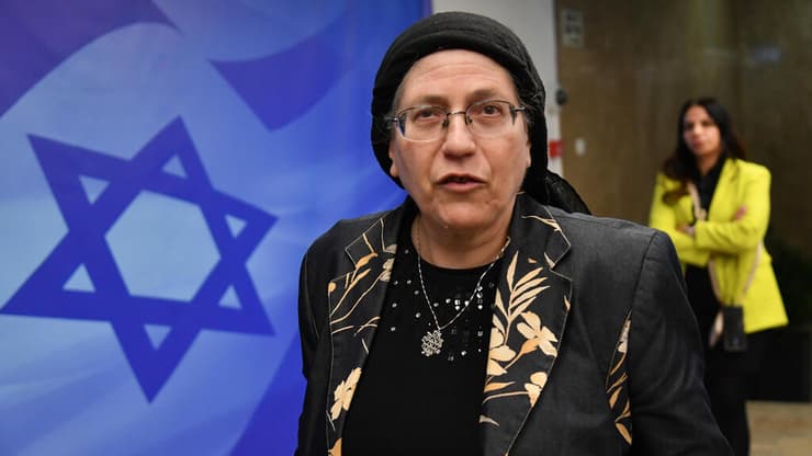 סטרוק טוענת: "כל הנתונים גלויים וידועים - למי שצריך" (צילום: יואב דודקביץ') ישיבת ממשלה