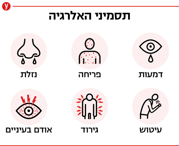 תסמיני אלרגיה תסמיני אלרגיה