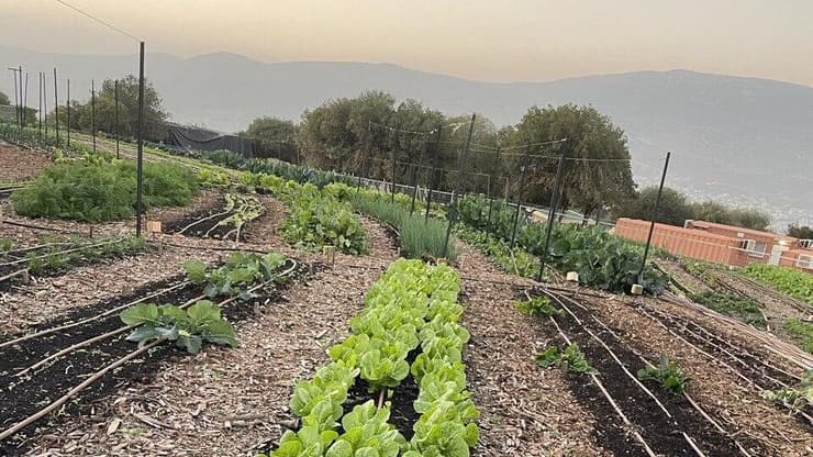 חוות רום